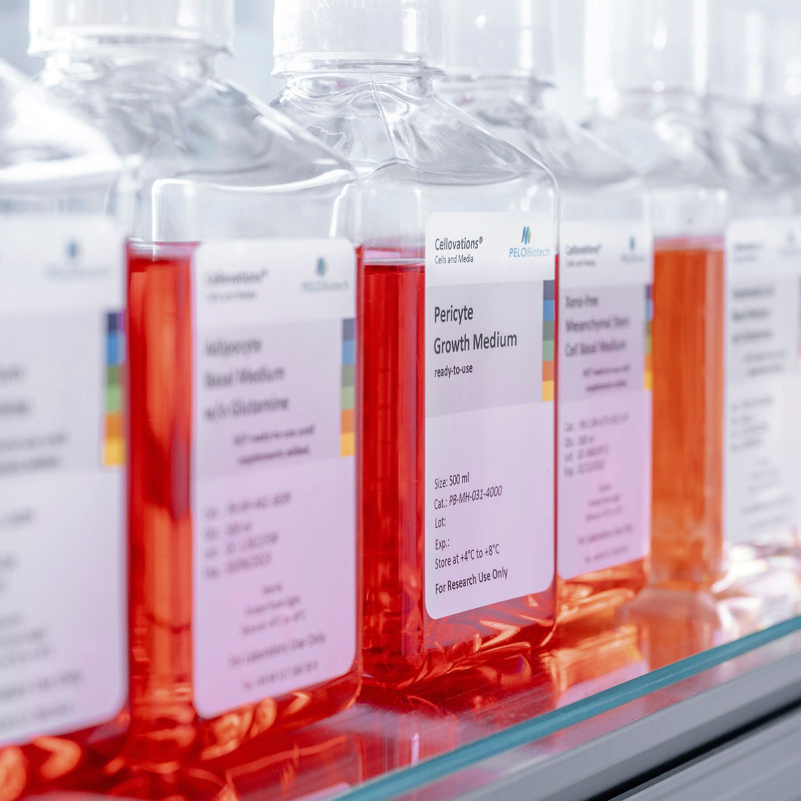 PELOBiotech | PELOBiotech GmbH PELOBiotech PELOBiotech GmbH